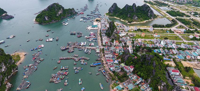 Phương Đông Vân Đồn cộng sinh với lợi ích Vân Đồn và Quảng Ninh