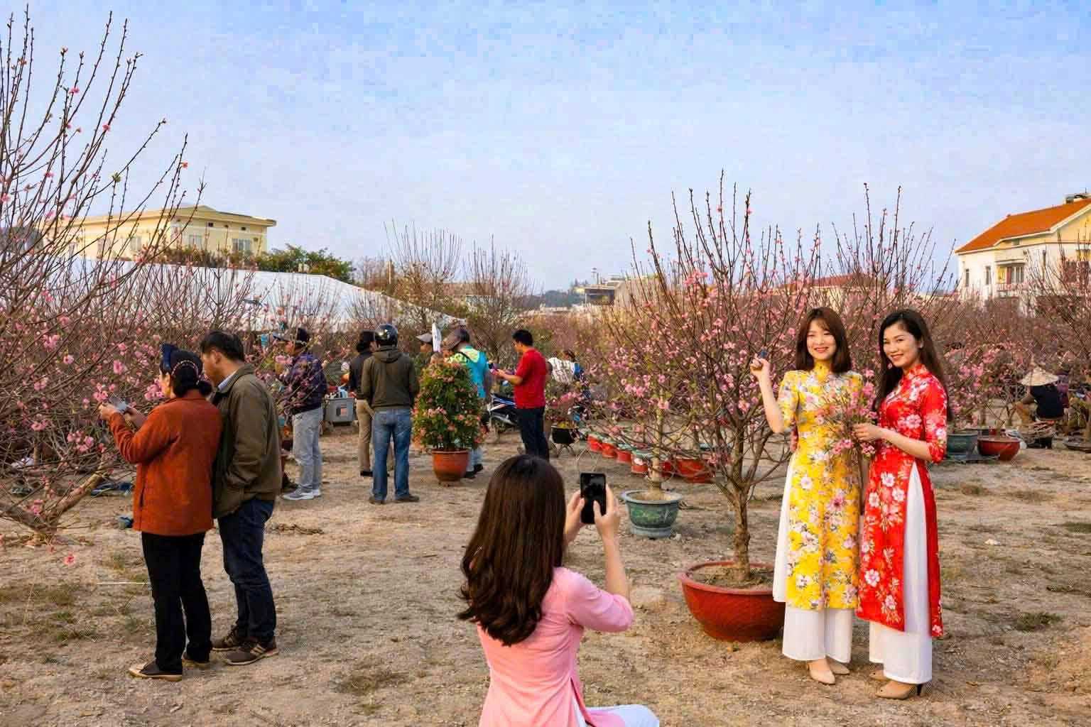 Vân Đồn tết 2026