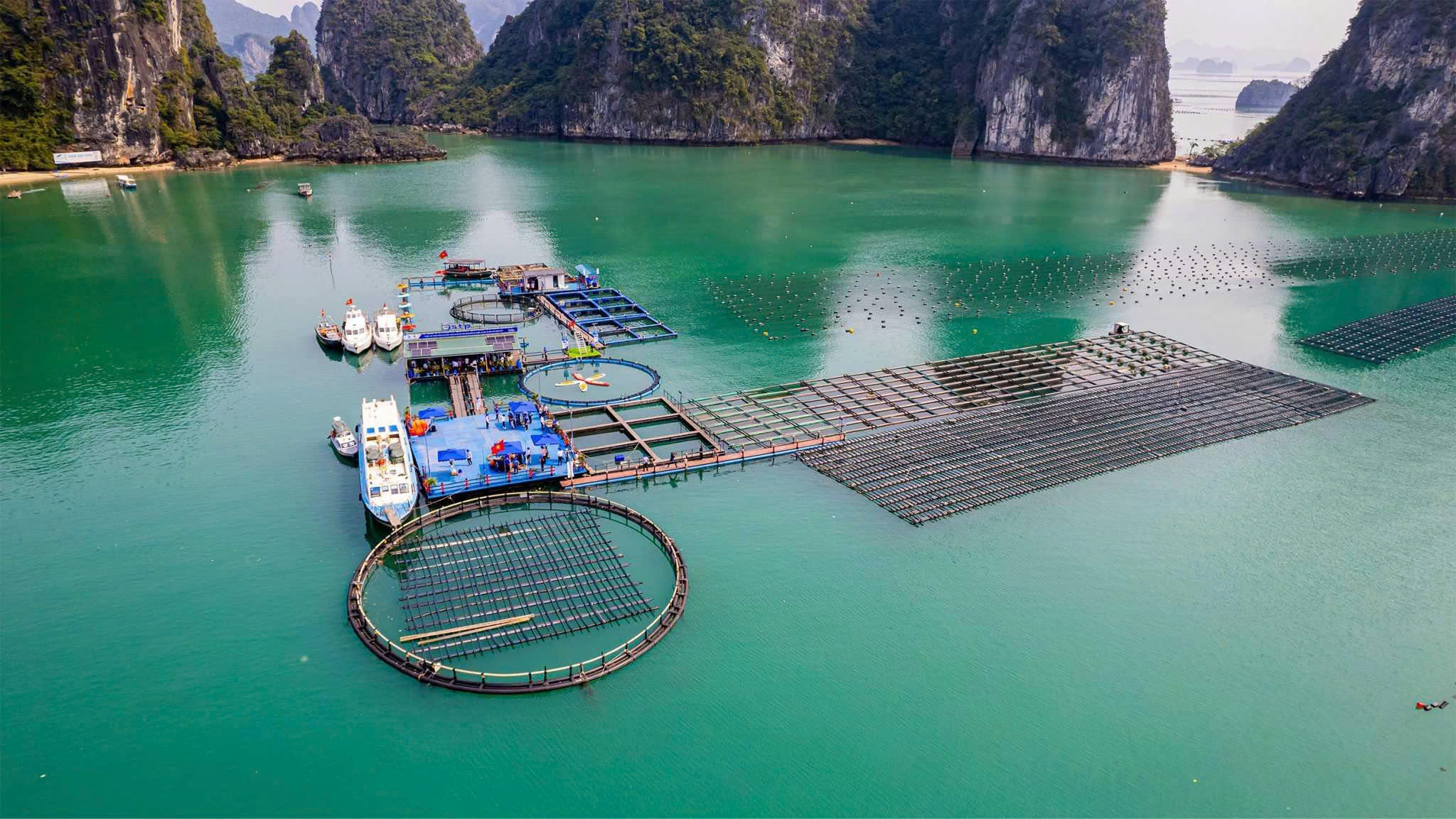 Kinh tế xanh chiến lược phát triển bền vững Vân Đồn
