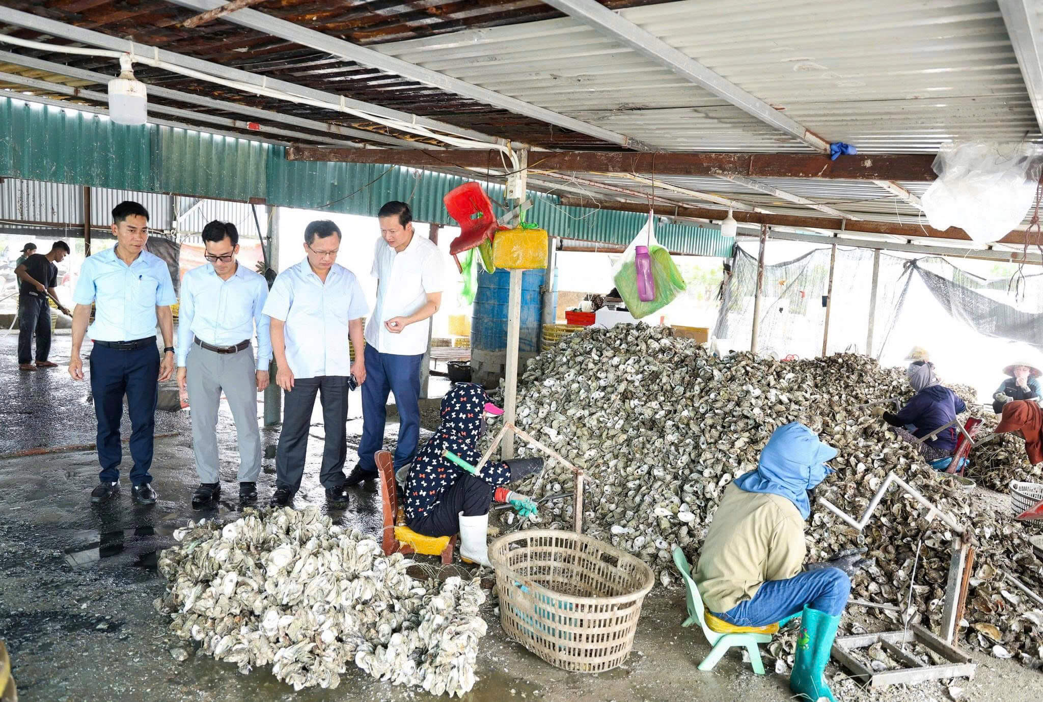 Xu hướng chuyển dịch sản xuất vào cụm công nghiệp tập trung tại Vân Đồn